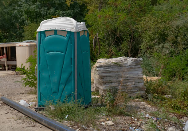 istockphoto 1445512143 612x612 istockphoto 1445512143 612x612